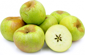 The Newtown Pippin apple is an early ripening green, slightly russetted apple. Like most greens, they are excellent for baking and cooking!